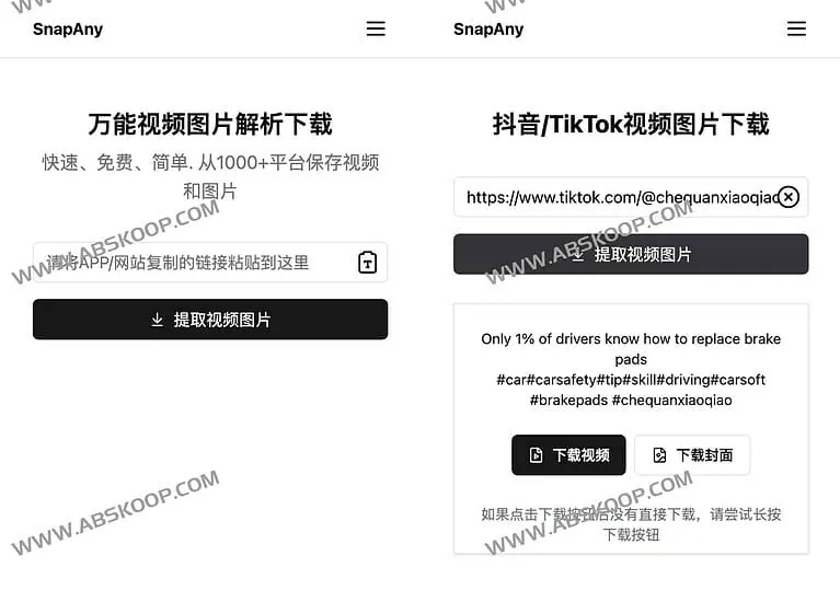 SnapAny-万能视频图片解析下载工具 - NowX 游读社-NowX 游读社